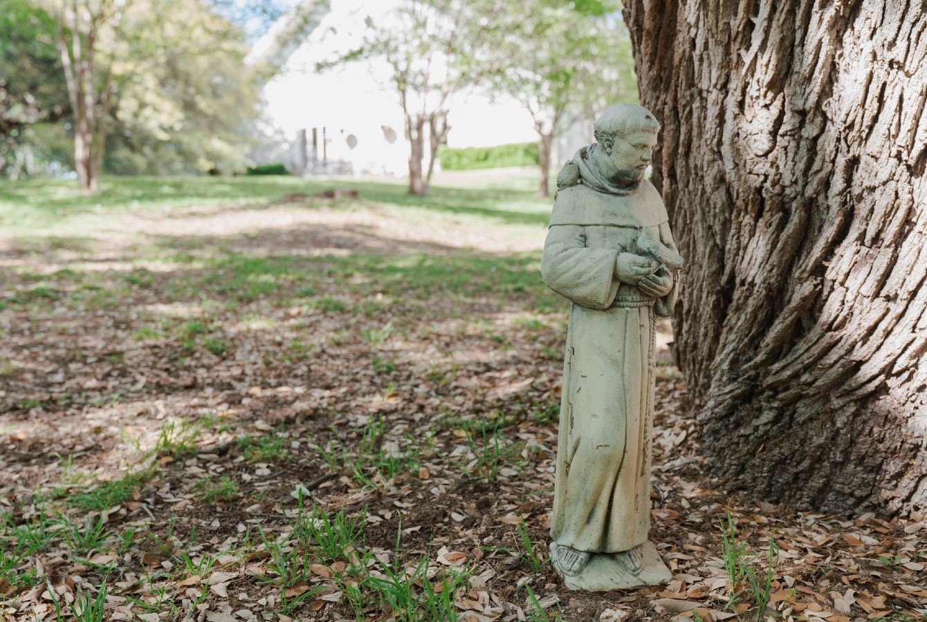 image of a statue of St Francis