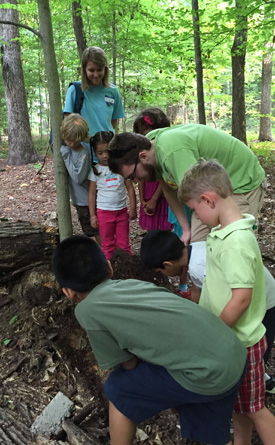 Summer camp group exploring nature