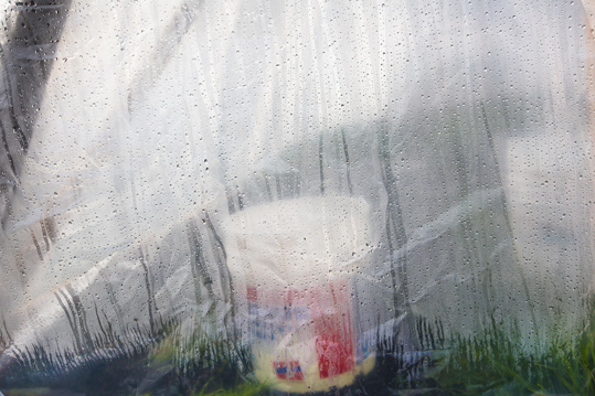 Plastic bucket visible behind dew-lined plastic sheeting