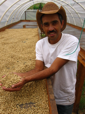 Man in a green house full of coffee beans
